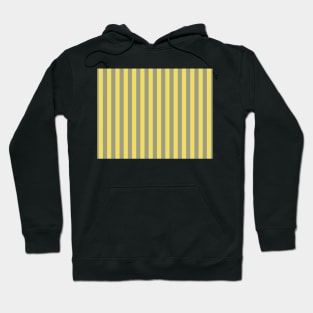 Stripes pattern in the current colors for 2021 Hoodie